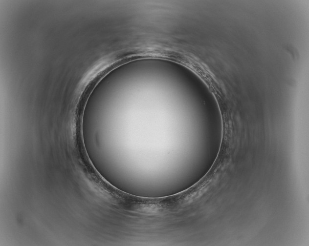 X0000110870344200906181207