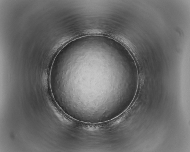 X0000110870345200906181207