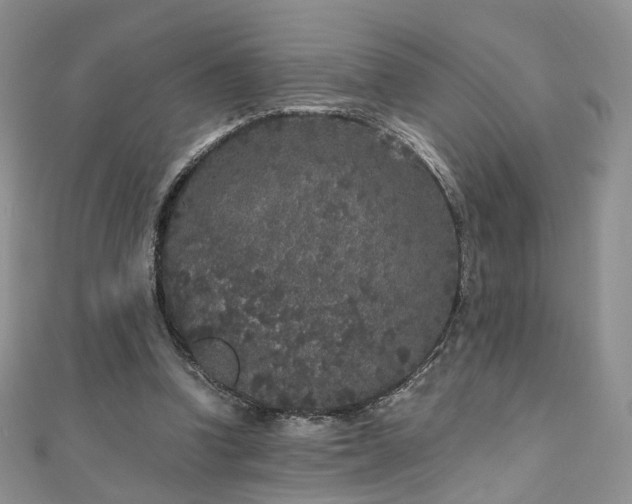 X0000110870346200906181207