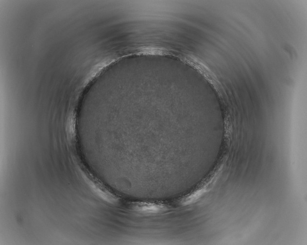 X0000110870347200906181207