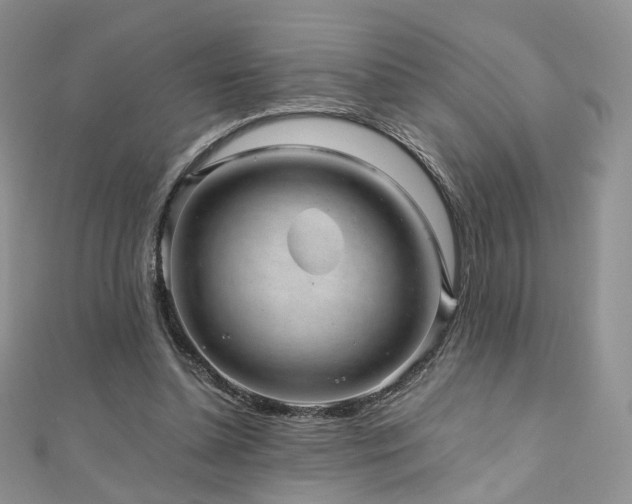 X0000110870348200906181207