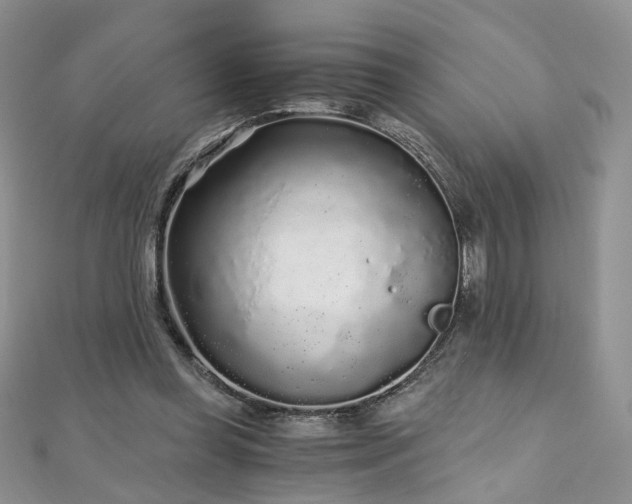 X0000110870349200906181207