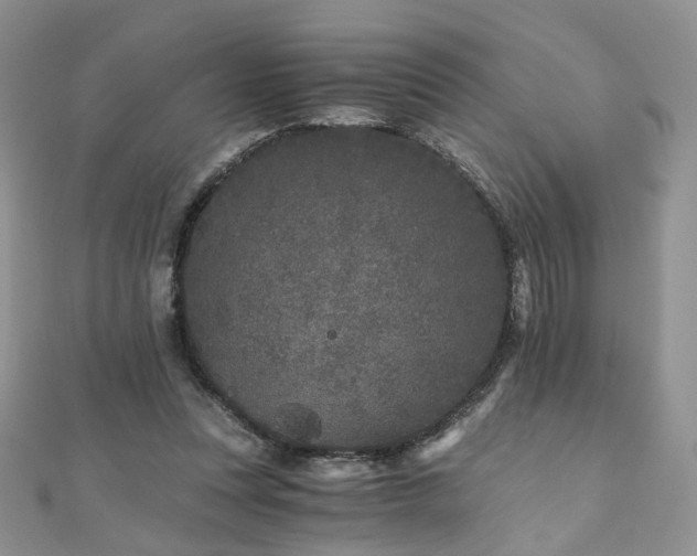 X0000110870351200906181207