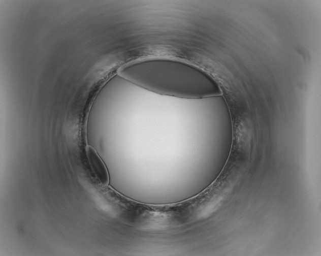 X0000110870352200906181207