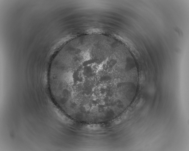 X0000110870353200906181207