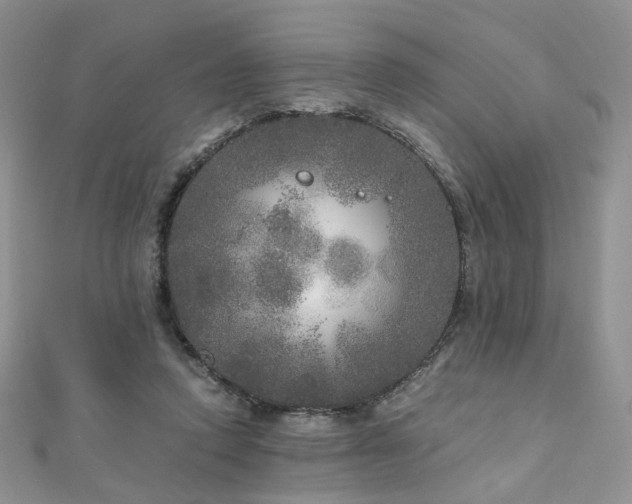 X0000110870354200906181207