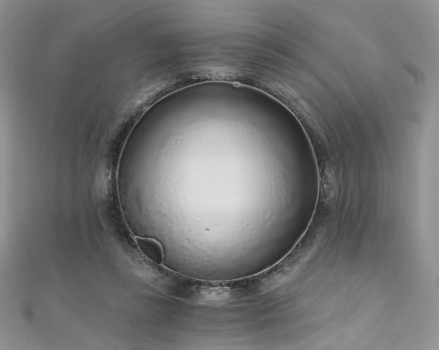 X0000110870355200906181207