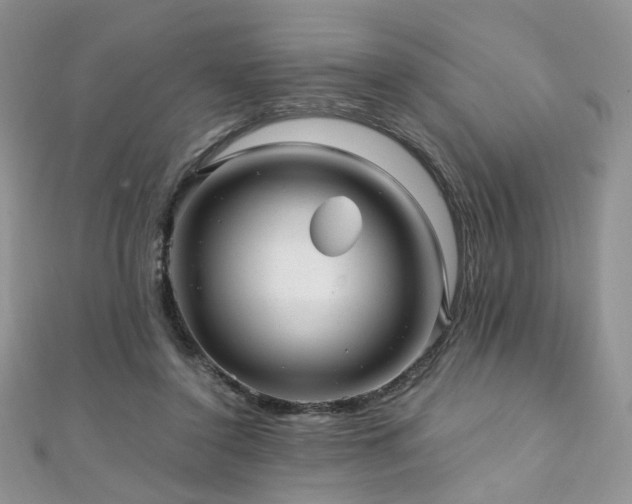 X0000110870356200906181207