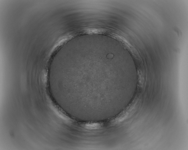 X0000110870357200906181207