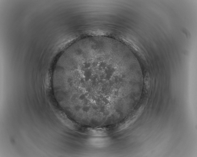 X0000110870359200906181207