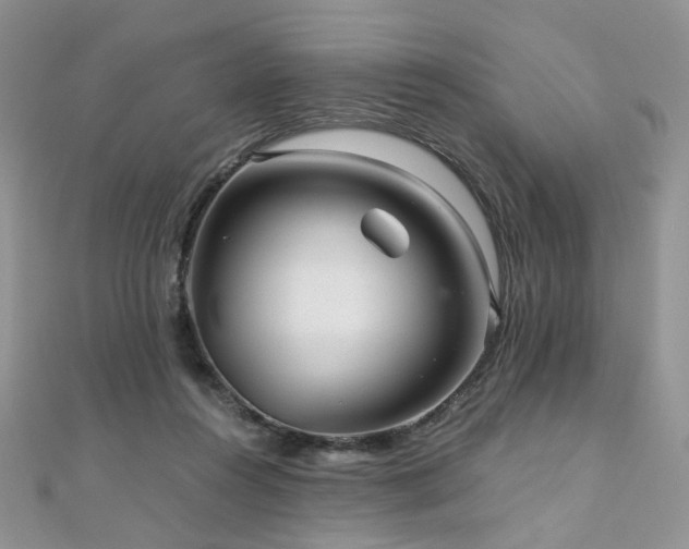 X0000110870360200906181207