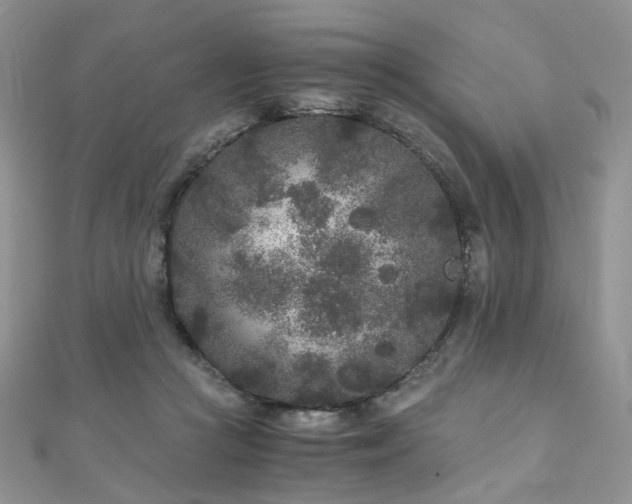 X0000110870361200906181207