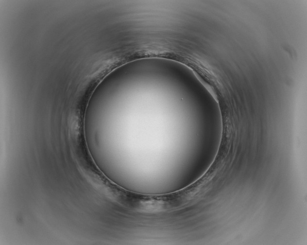 X0000110870362200906181207