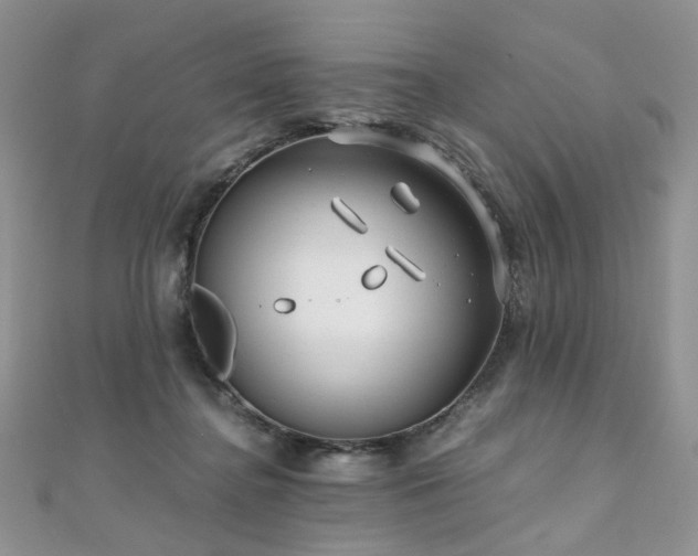 X0000110870364200906181207