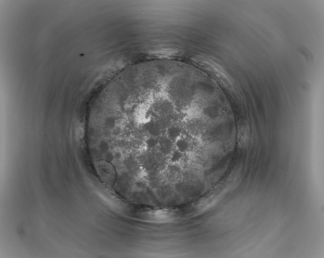 X0000110870365200906181207