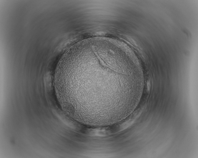 X0000110870366200906181207