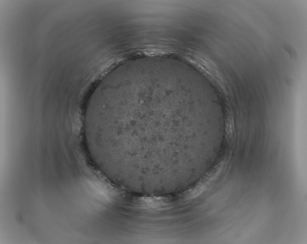 X0000110870367200906181207