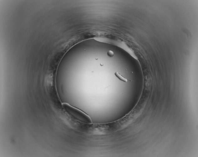 X0000110870368200906181207