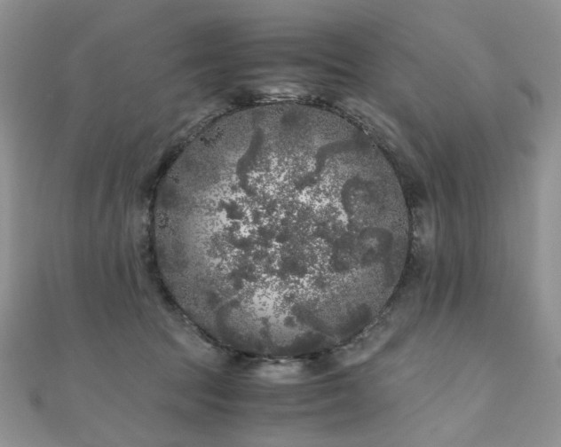 X0000110870369200906181207