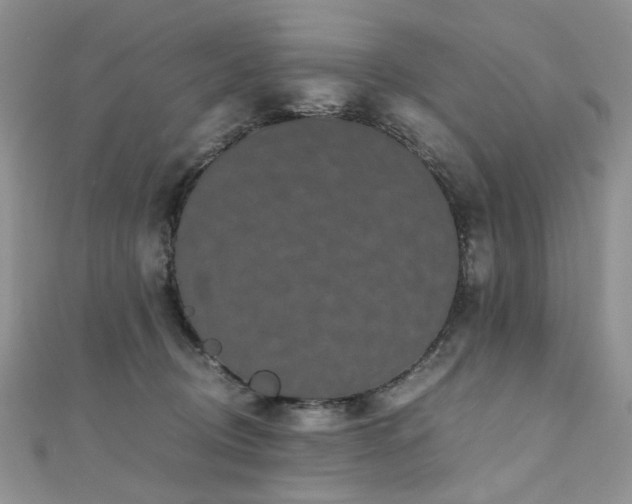 X0000110870370200906181207