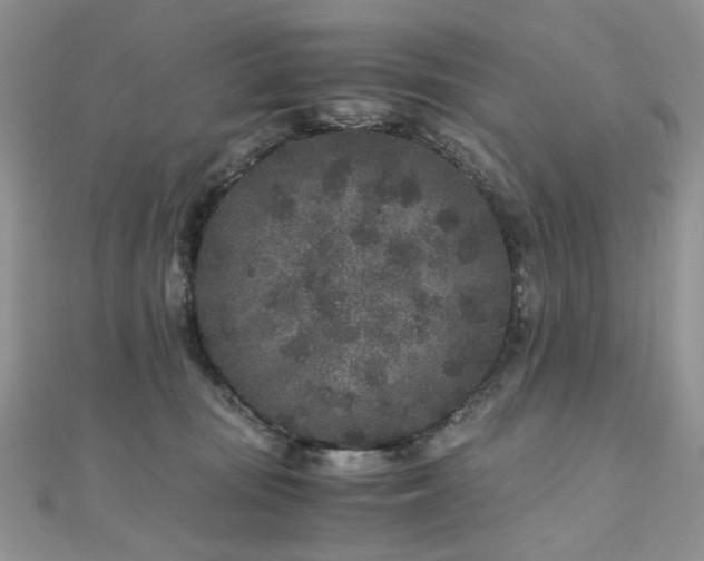 X0000110870371200906181207