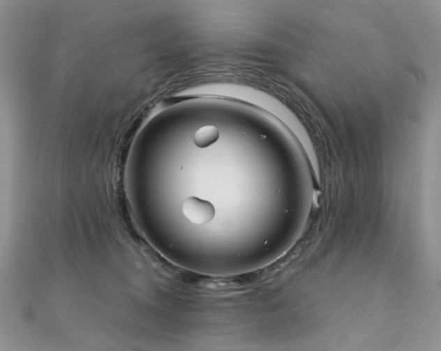 X0000110870372200906181207