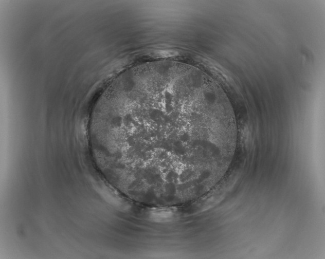 X0000110870373200906181207