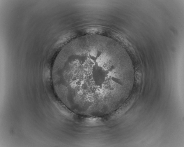 X0000110870375200906181207