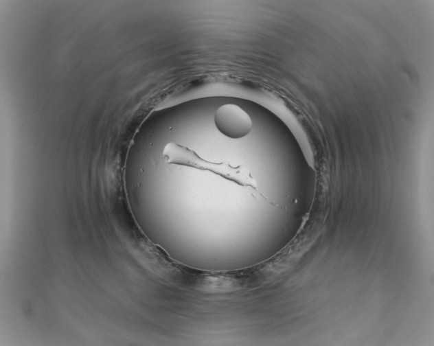 X0000110870376200906181207