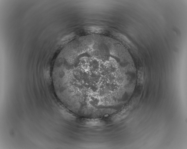 X0000110870377200906181207