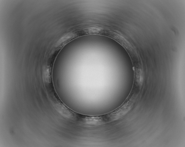 X0000110870378200906181207