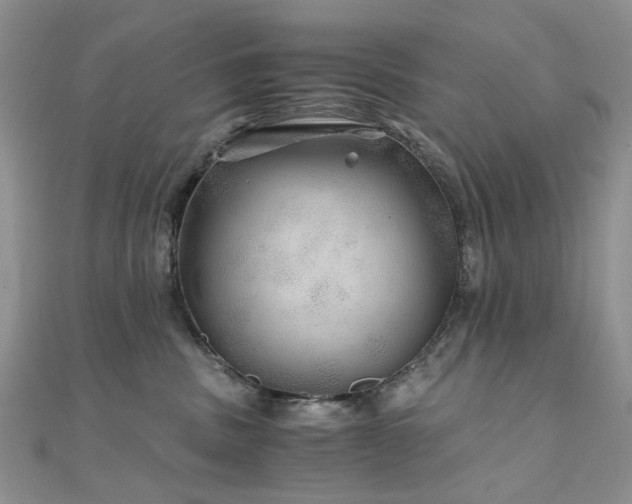 X0000110870379200906181207