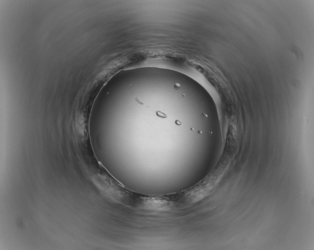 X0000110870380200906181207