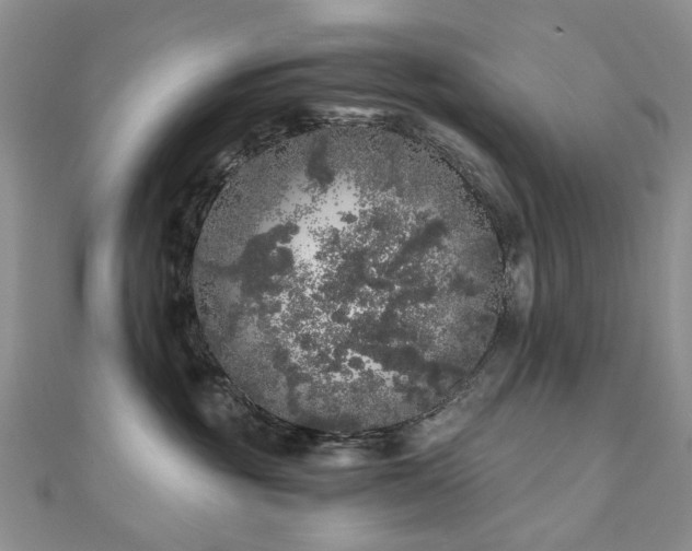 X0000110870381200906181207