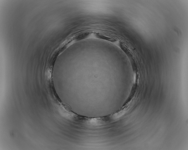 X0000110870382200906181207