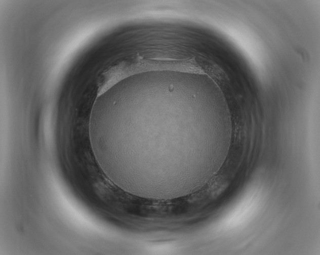 X0000110870383200906181207