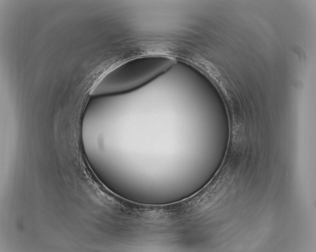 X0000110870385200906181207