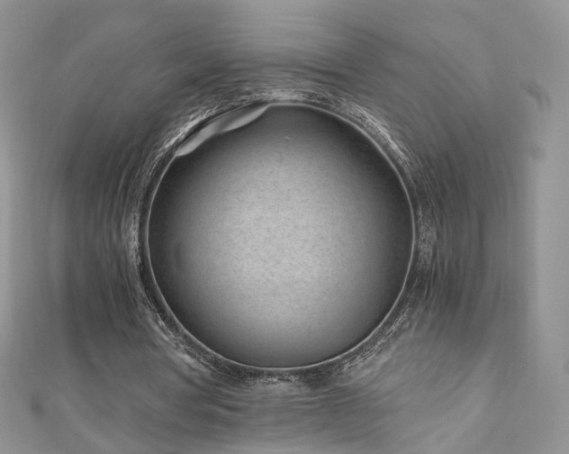 X0000110870386200906181207