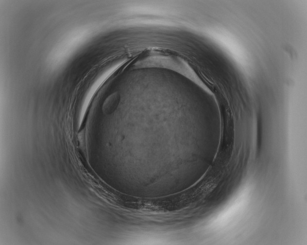 X0000110870387200906181207