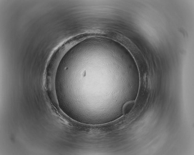 X0000110870388200906181207