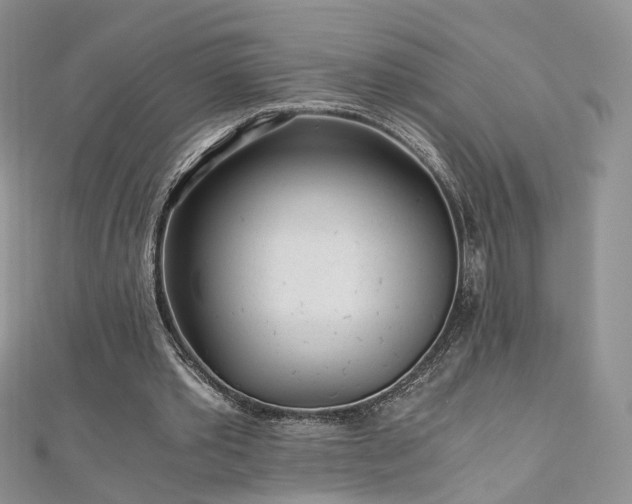 X0000110870389200906181207