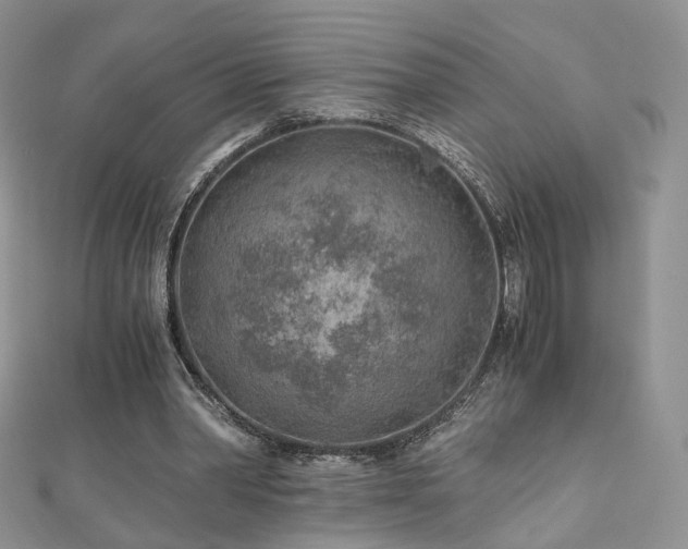 X0000110870390200906181207