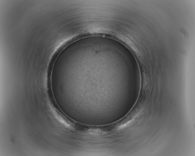 X0000110870391200906181207