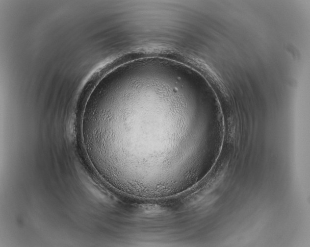 X0000110870392200906181207