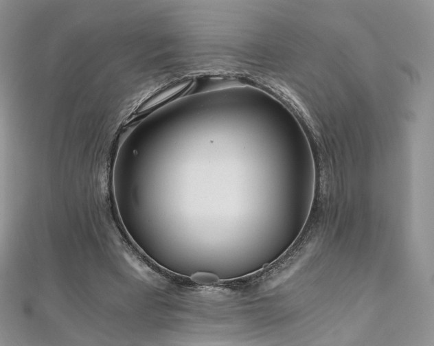 X0000110870393200906181207