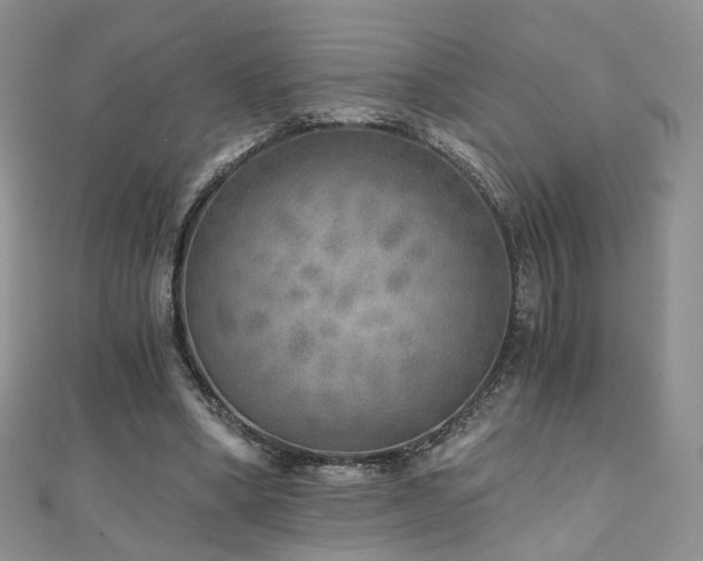 X0000110870394200906181206