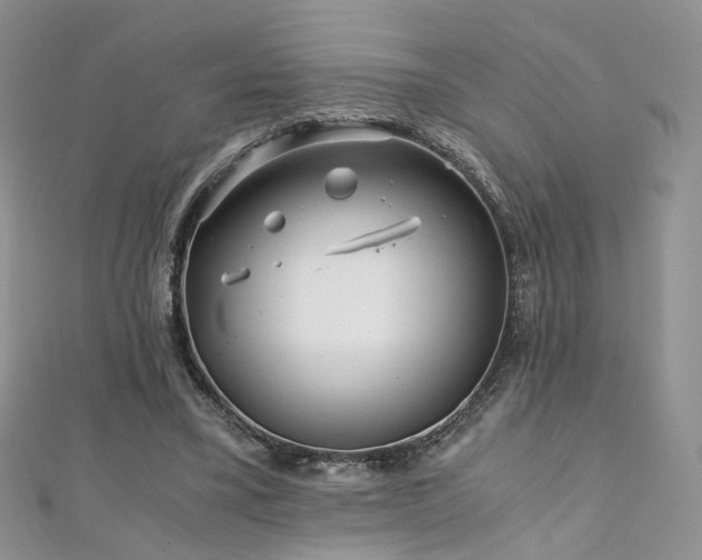 X0000110870395200906181206