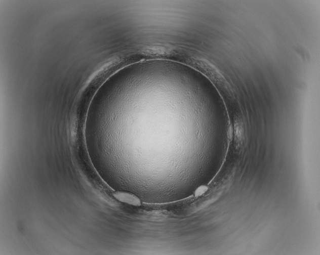 X0000110870396200906181206