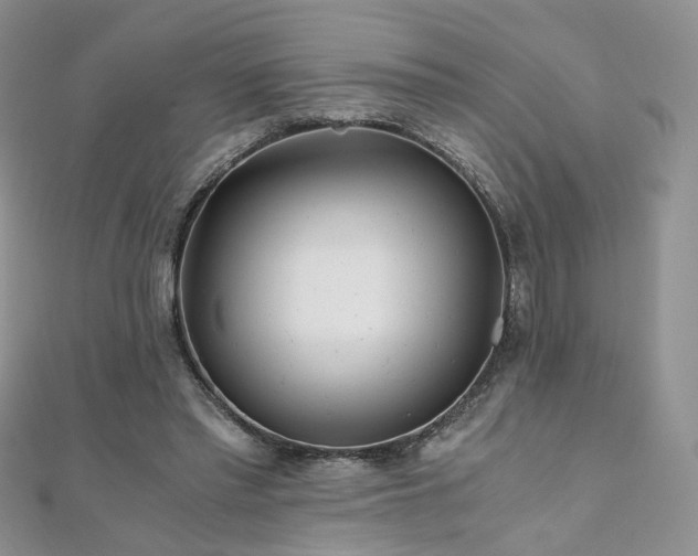 X0000110870397200906181206