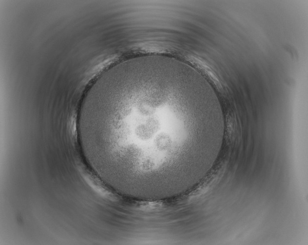 X0000110870398200906181206